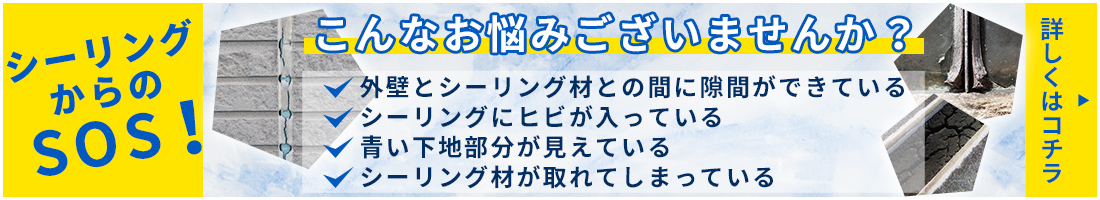 シーリングに見られる気になる症状